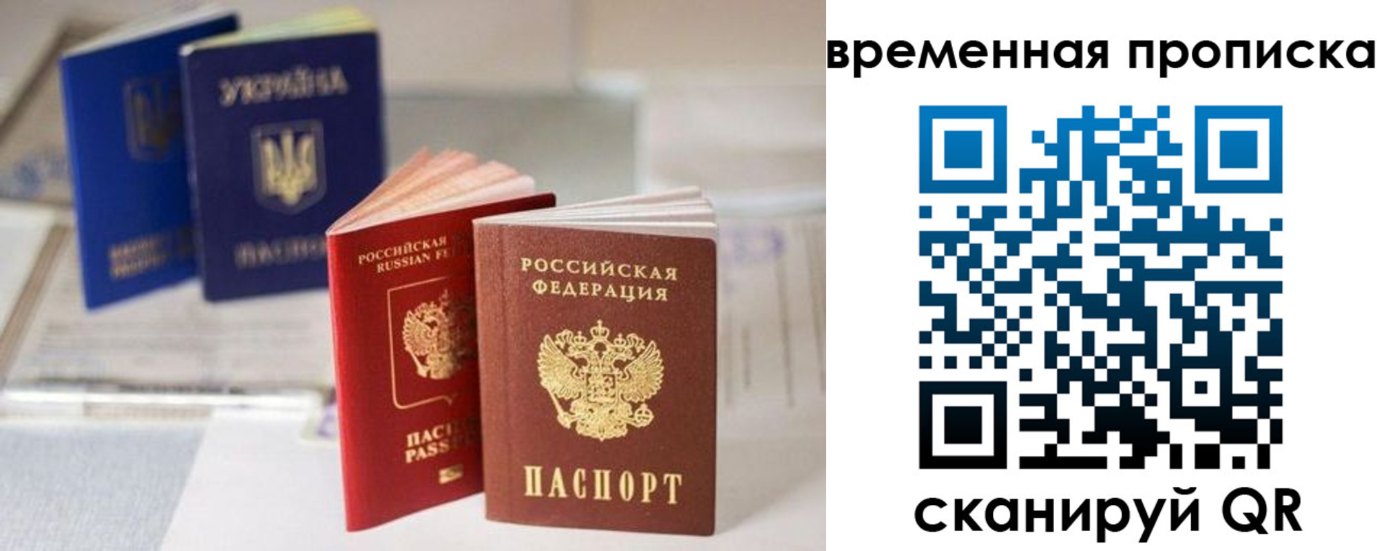 найти адрес прописки в Полярных Зорях